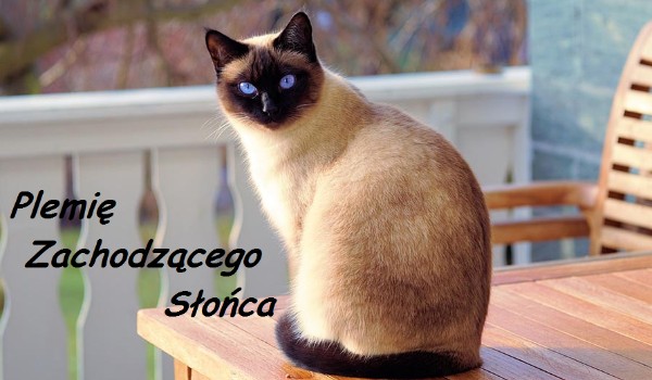 Plemię Zachodzącego Słońca-roździał 4