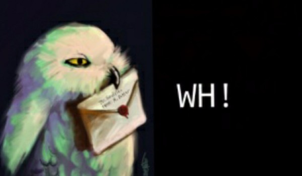 Wirtualny Hogwart – postaci