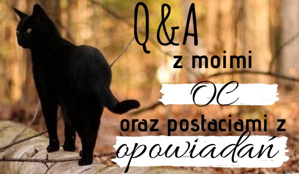 Q&A z moimi OC – odpowiedzi