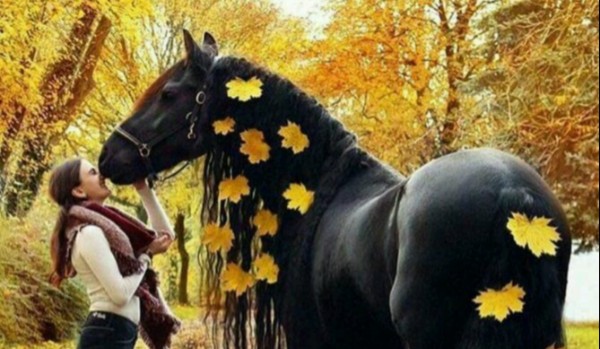 Moja nudna rzeczywistość 3