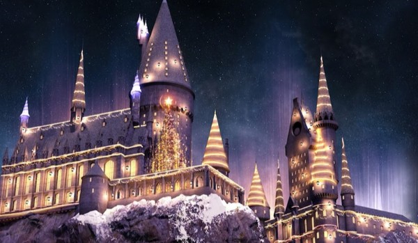 Kto z Harry’ego Pottera spędzi z tobą tegoroczne Święta Bożego Narodzenia? Sprawdź!
