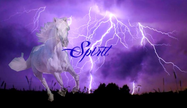 Spirit-rumak burzy #1