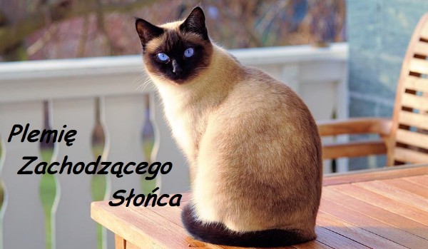 Plemię Zachodzącego Słońca-roździał 3