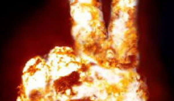 Ostatni schron Talksy