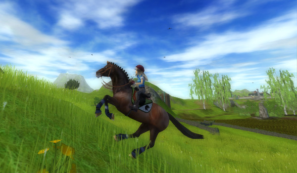 Moje zdjęcia z SSO#13