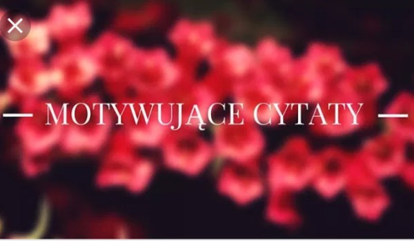 Motywujące cytaty