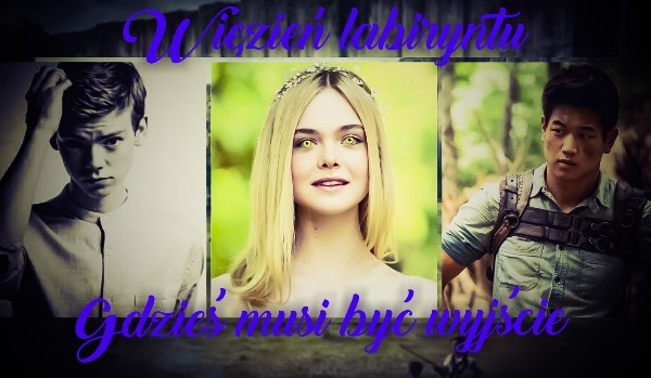 Więzień labiryntu – Gdzieś musi być wyjście #10