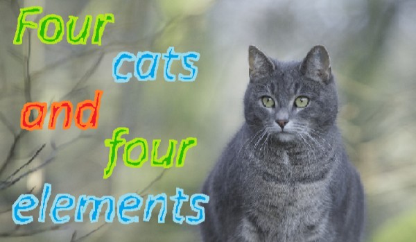 Four cats and four elements (Cztery koty i cztery żywioły)