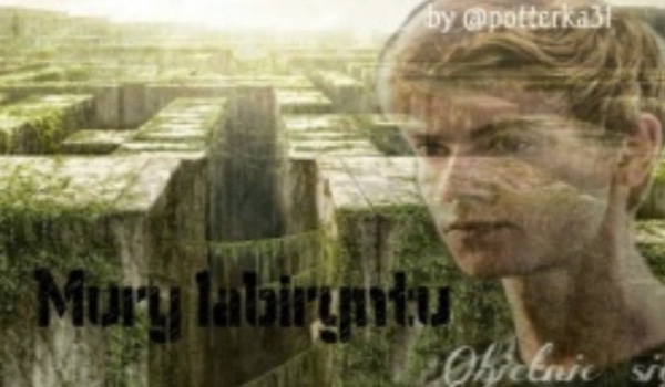 Mury labiryntu #1