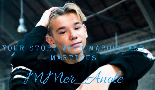 Your story with Marcus and Martinus