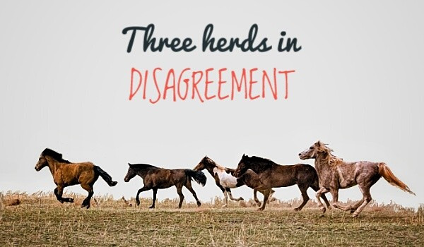 Three herds in disagreement #2