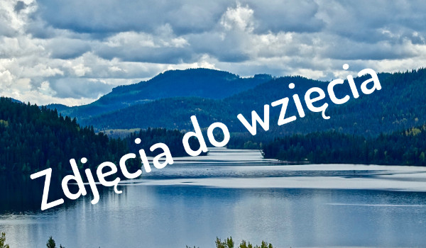 Zdjęcia do wzięcia-Lewis Hamilton