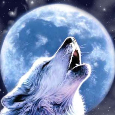 WolfQuuen