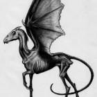 _thestral_