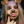 pink_fluffy_unicorn