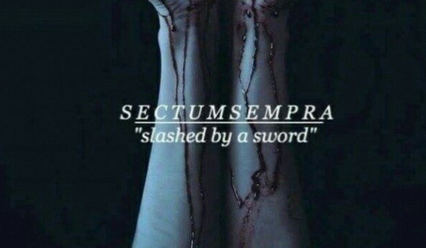 Sectumsempra #wstęp