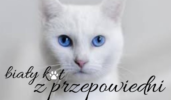 Biały kot z przepowiedni. #20