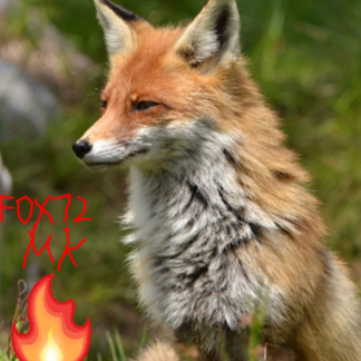 MKGAMERFOX