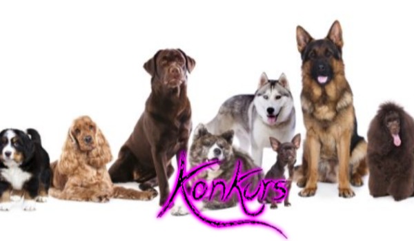 Konkurs#2,,Psie tortury”