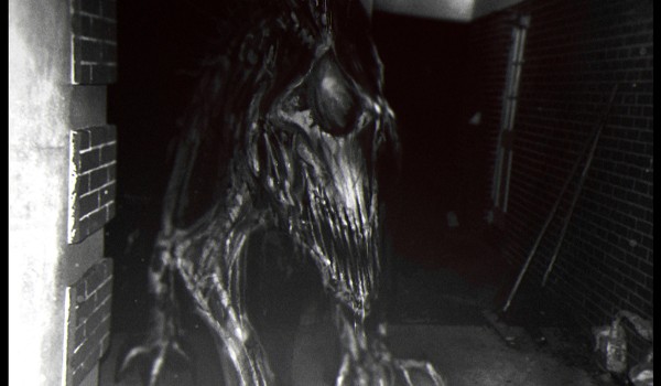 Dwa Cienie ~ Część 1 ~