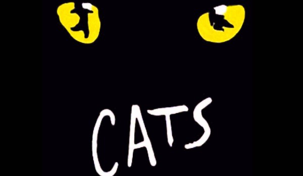 Czy rozpoznasz koty z „The Cats Musical”?