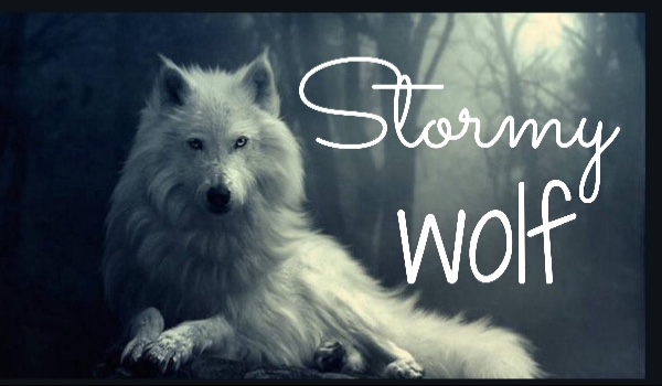 Stormy wolf#zapisy