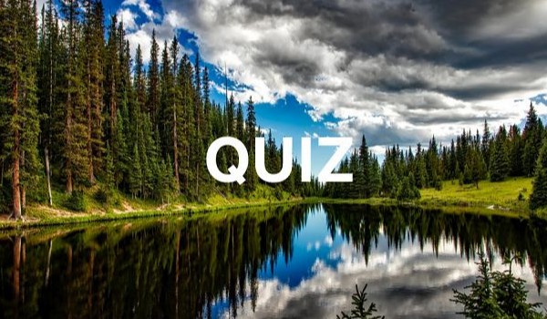 Lasy liściaste i mieszane