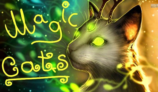 Magic cats #1