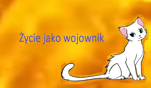 Życie jako wojownik. #11