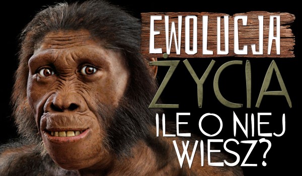 Ewolucja życia – ile o niej wiesz?