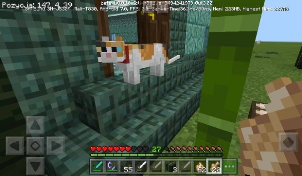 Zamówienie dla @crazy_banana