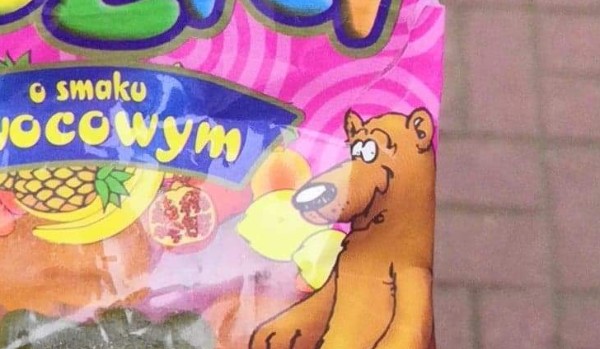 Quiz o niedźwiedziach