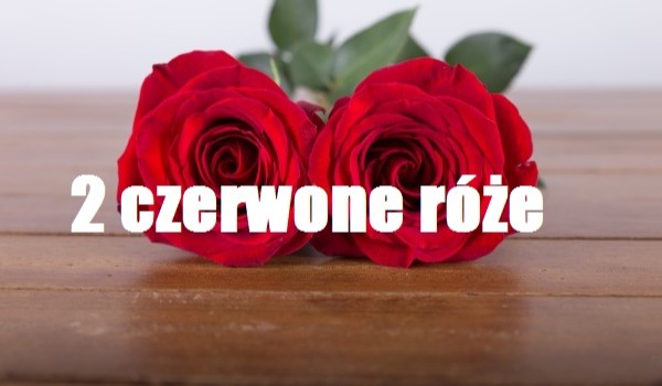 2 czerwone róże cz.4