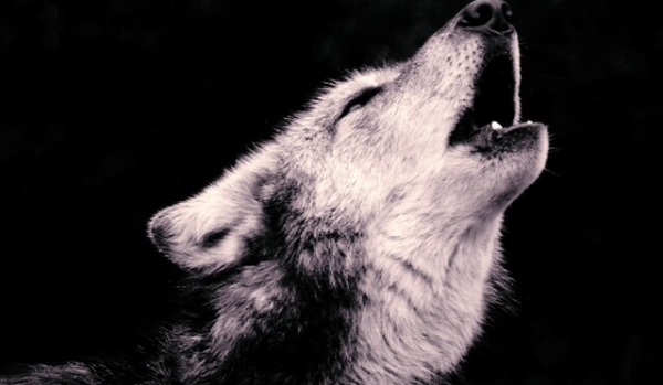 Moja dziwna przygoda z inazuma eleven #5