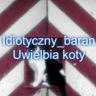 Idiotyczny_baran_