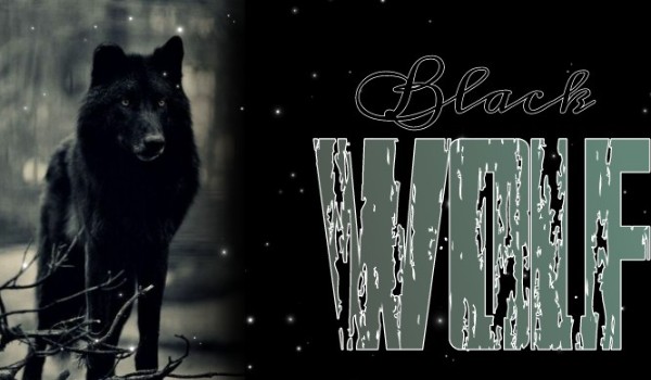 Black Wolf #1