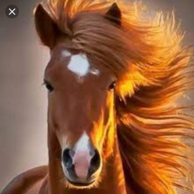 Horseprinciska
