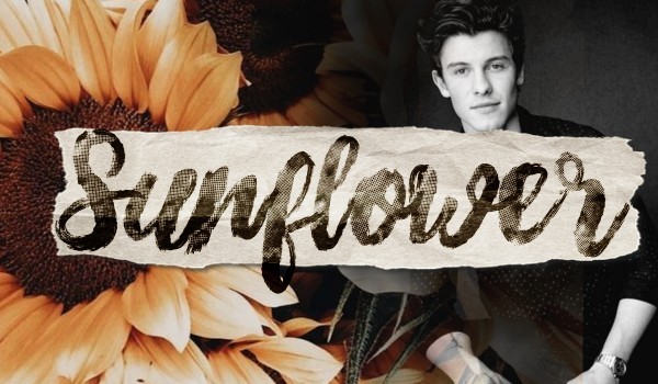 Sunflower – Rozdział Trzeci
