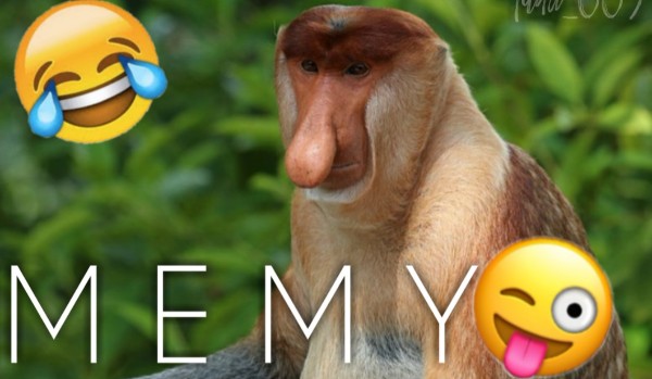 Memy #13  Posłowie/Polityka