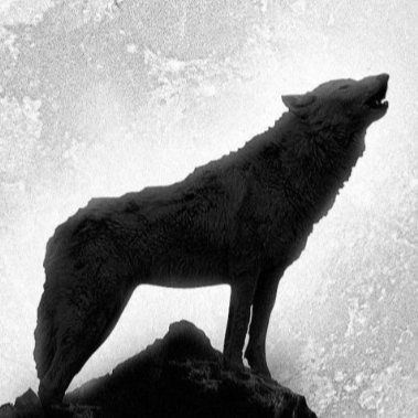 Panna_Woolf