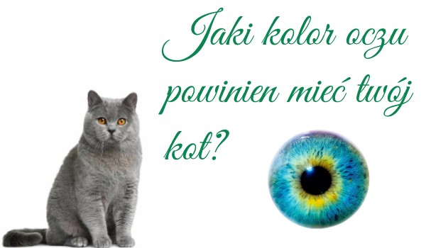 Jaki kolor oczu powinien mieć twój kot?
