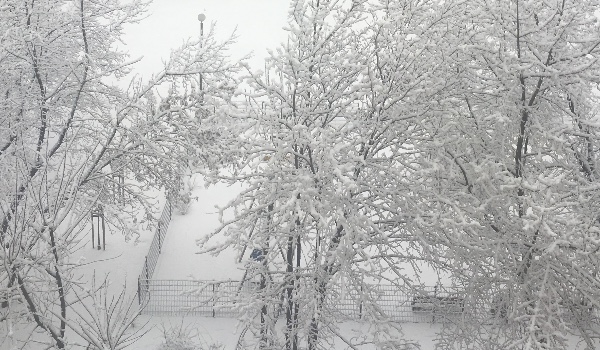 Quiz kevin sam w domu minecraft