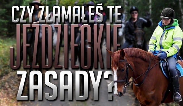 Czy złamałeś te jeździeckie zasady?