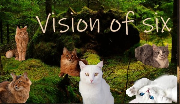 The Vision of six #12