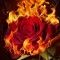 burning_rose.
