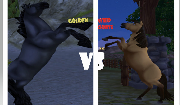 Wygra najlepszy – Nowe życie