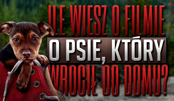 Ile wiesz o filmie ,,O psie, który wrócił do domu”?