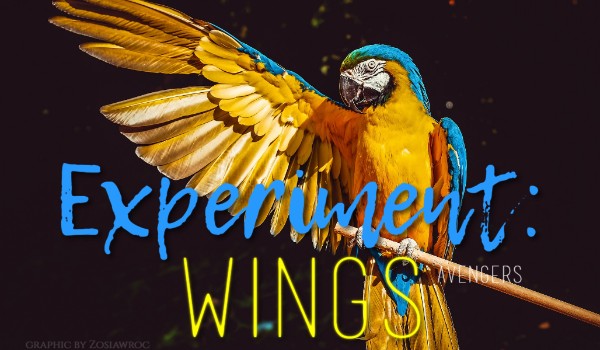 Experiment: Wings ~ Rozdział VI