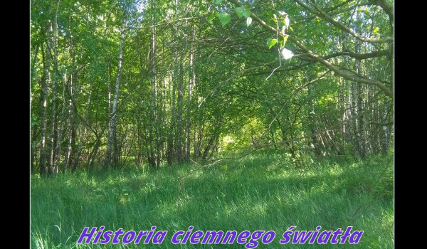 Historia ciemnego światła#12