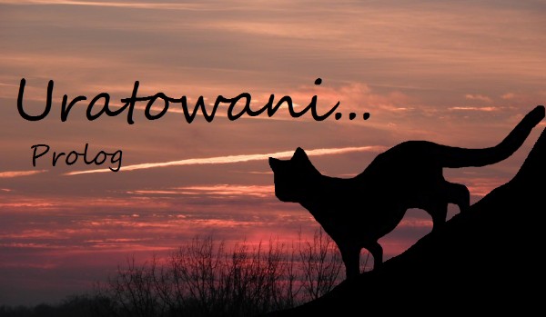 ☆꧁Uяαţoωαɲɨ…꧂☆Prolog